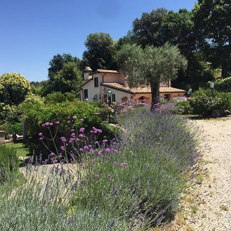 Olivella Villa Campagnano Di Roma Luaran gambar