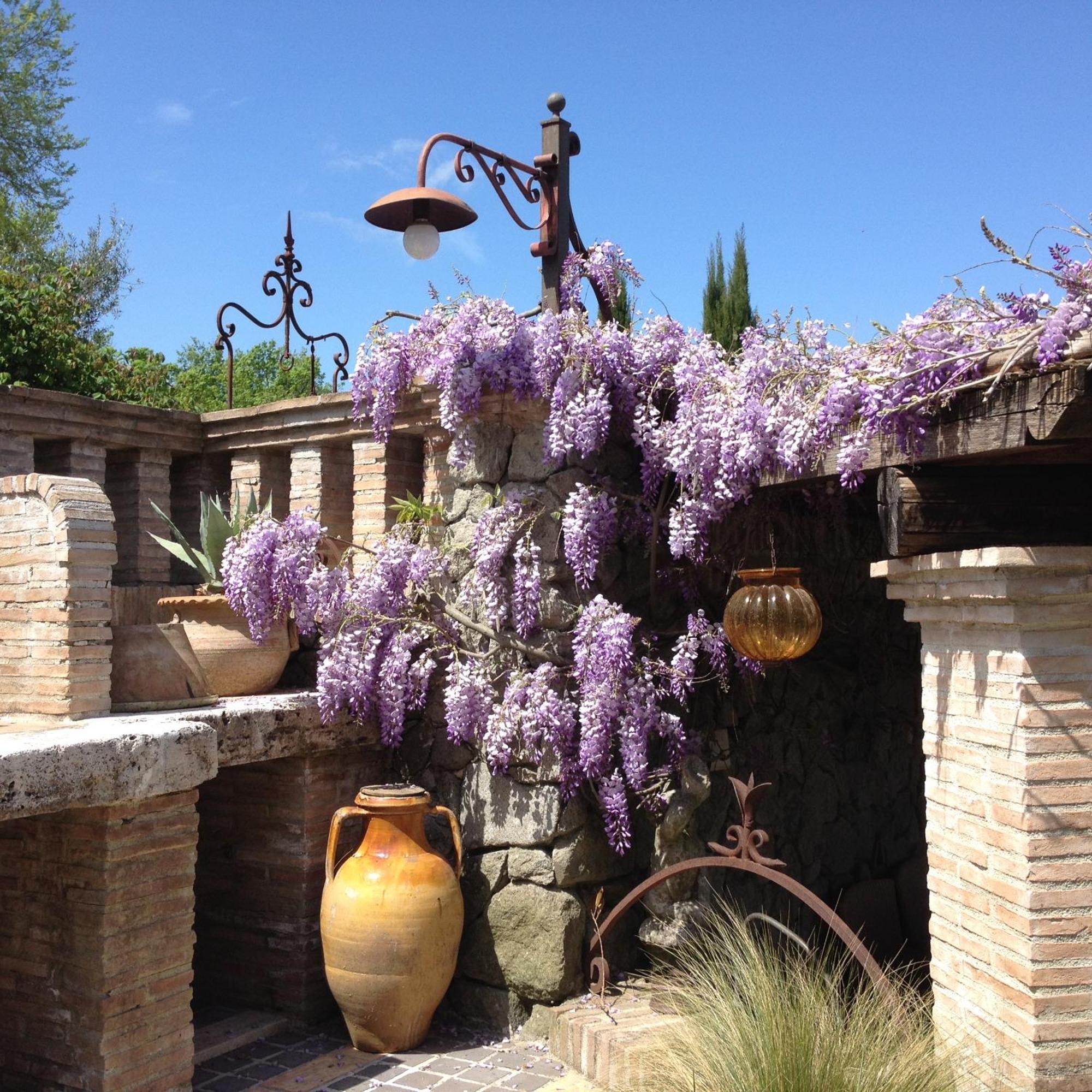 Olivella Villa Campagnano Di Roma Luaran gambar