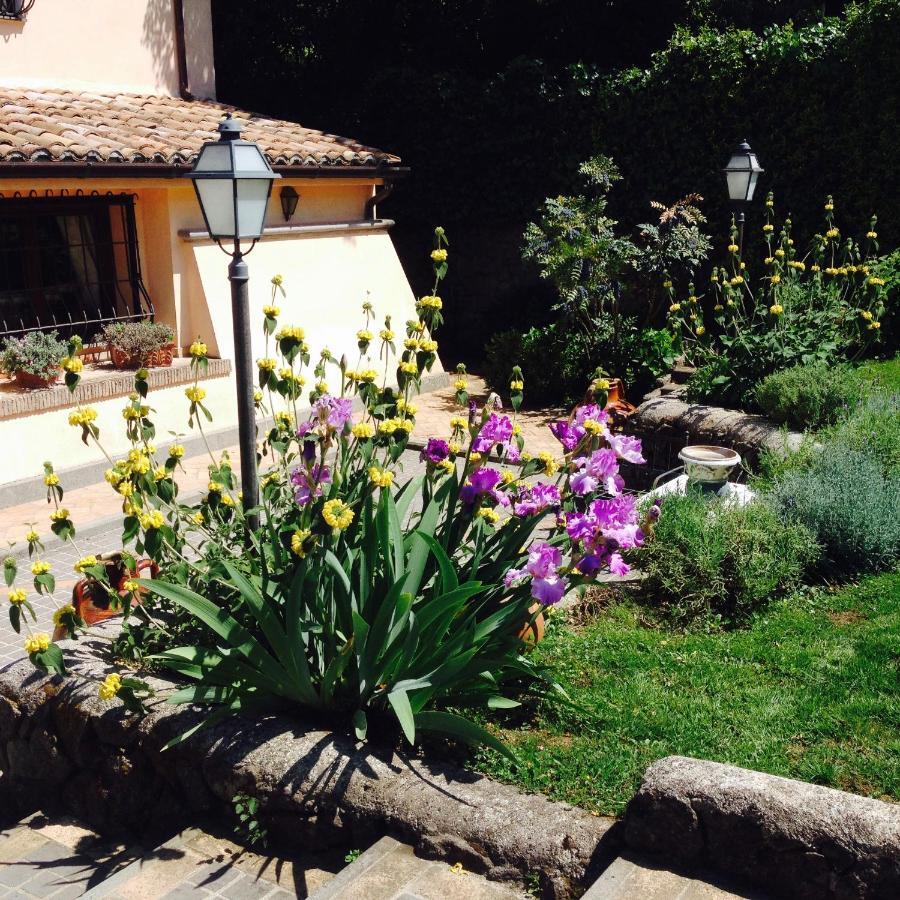 Olivella Villa Campagnano Di Roma Luaran gambar