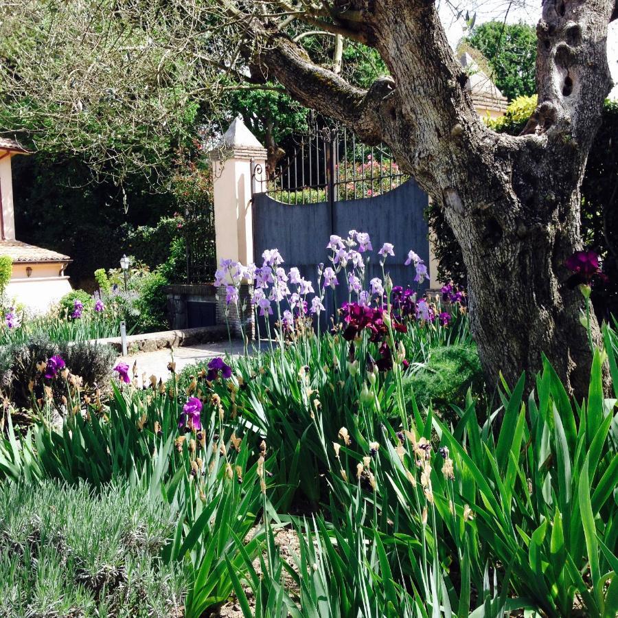 Olivella Villa Campagnano Di Roma Luaran gambar