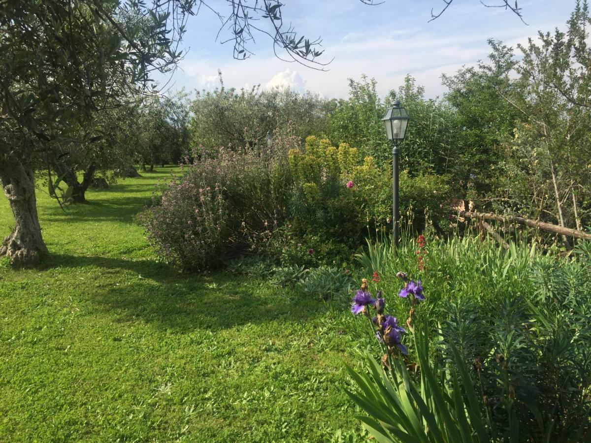 Olivella Villa Campagnano Di Roma Luaran gambar