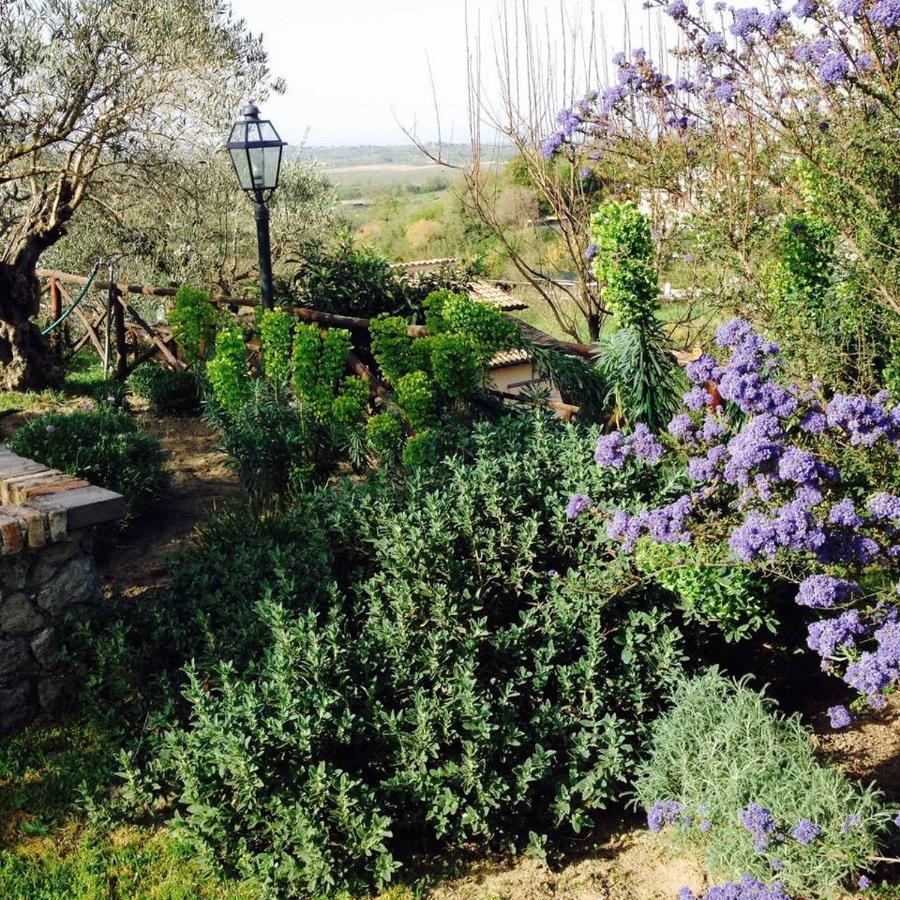 Olivella Villa Campagnano Di Roma Luaran gambar